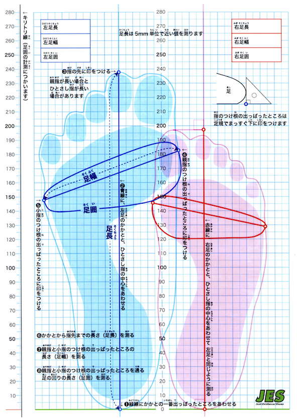 足測定シート（JES提供）